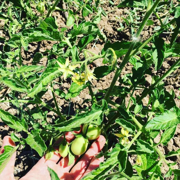 Tenuta Lanza Il Mulino Acquaviva Platani エクステリア 写真