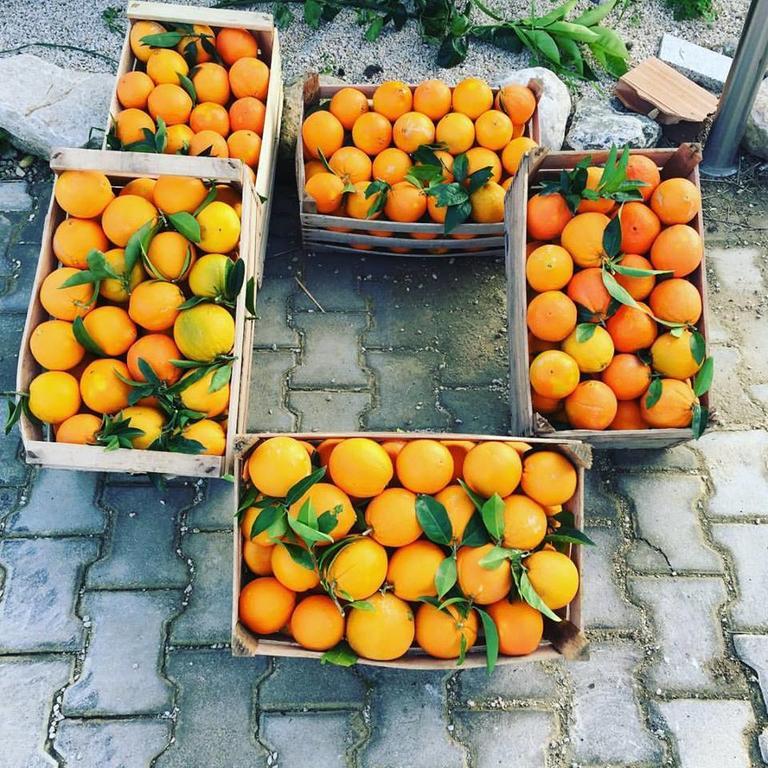 Tenuta Lanza Il Mulino Acquaviva Platani エクステリア 写真